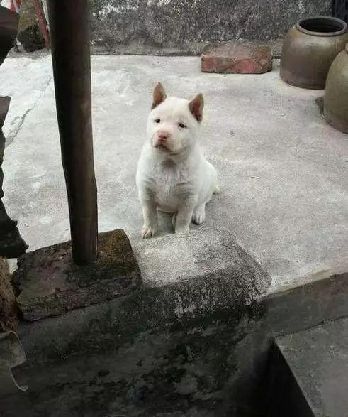 老二狗的外婆爆料视频下载 第2张 老二狗的外婆爆料视频下载 第2张