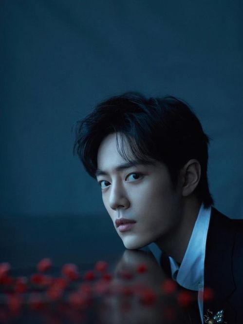 刘大锤最新爆料张彬彬视频,揭秘幕后精彩瞬间  第2张