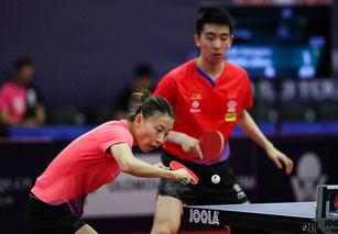 马特乒乓爆料视频大全,揭秘乒乓球界的精彩瞬间与幕后故事  第3张